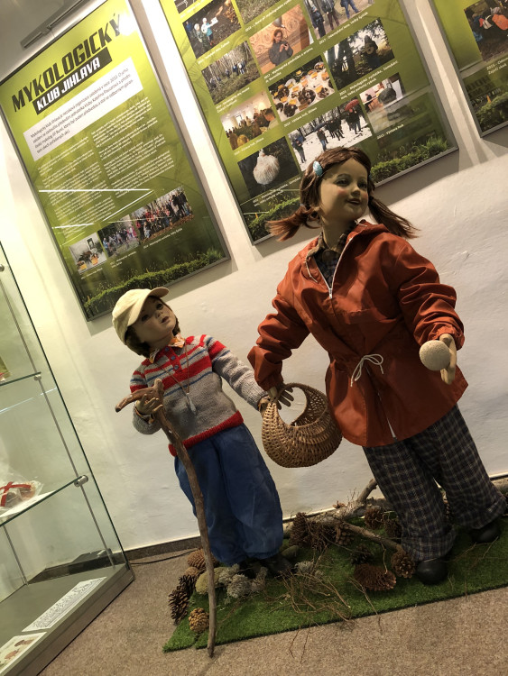 Otevření Muzea Vysočiny po rekonstrukci