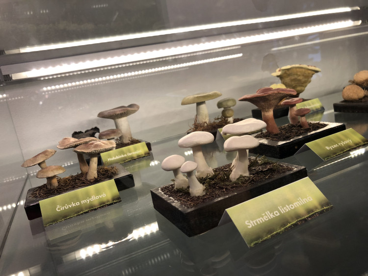 Otevření Muzea Vysočiny po rekonstrukci