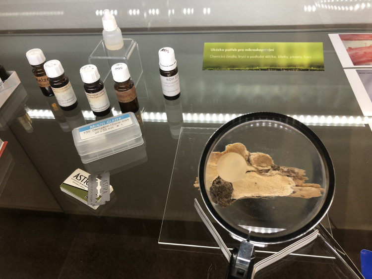 Otevření Muzea Vysočiny po rekonstrukci