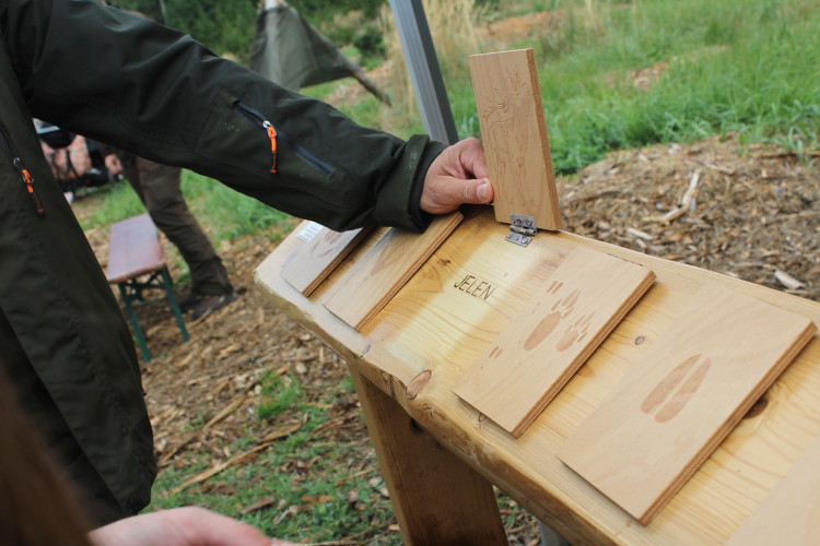 Den za obnovu lesa 2023, lokalita Pouště