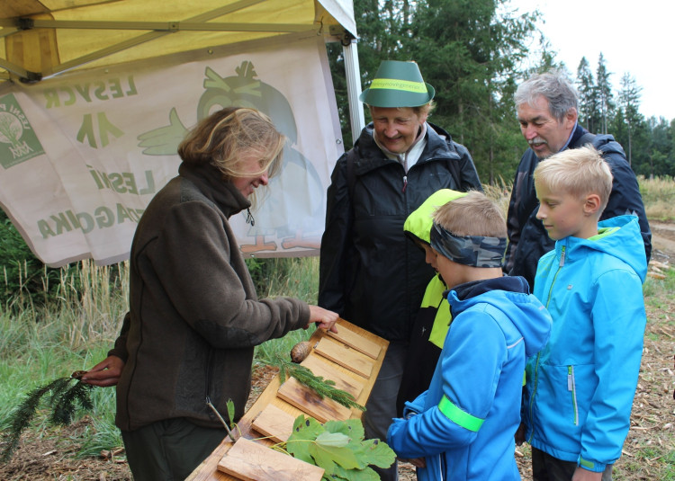Den za obnovu lesa 2023, lokalita Pouště