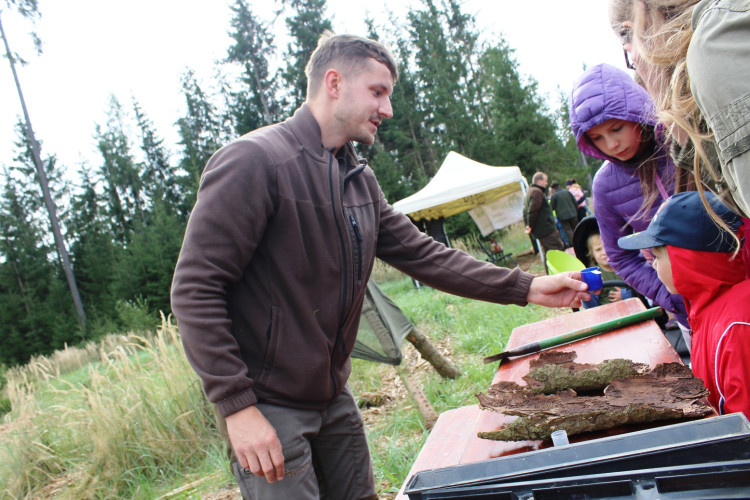 Den za obnovu lesa 2023, lokalita Pouště
