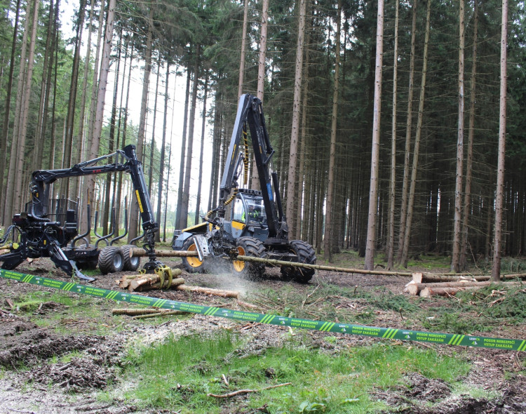 Den za obnovu lesa 2023, lokalita Pouště