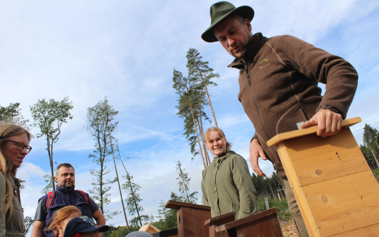 Den za obnovu lesa 2023, lokalita Pouště