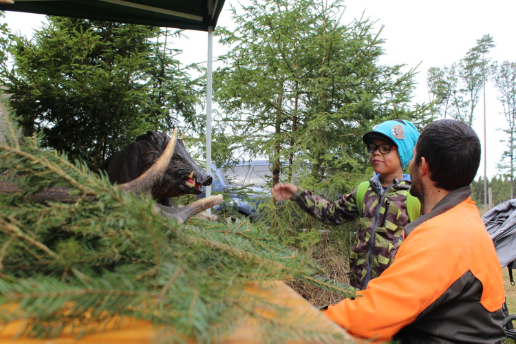 Den za obnovu lesa 2023, lokalita Pouště