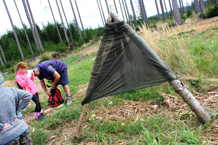 Den za obnovu lesa 2023, lokalita Pouště