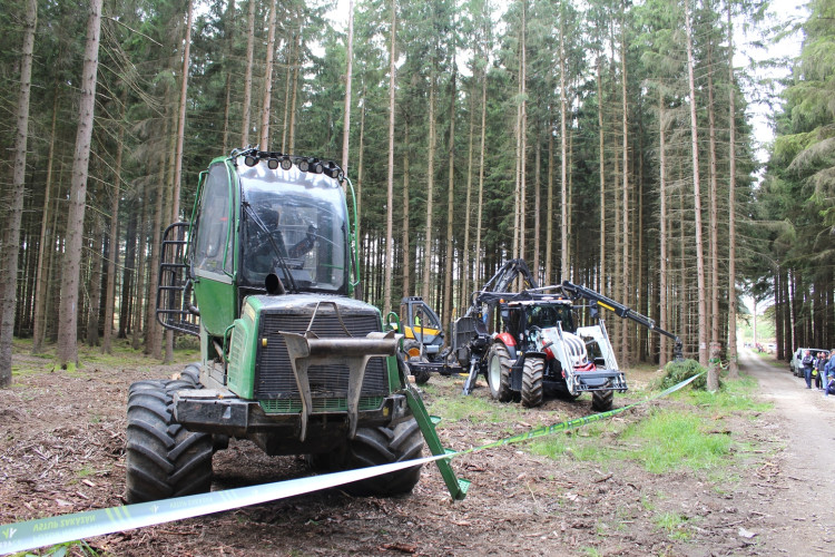 Den za obnovu lesa 2023, lokalita Pouště