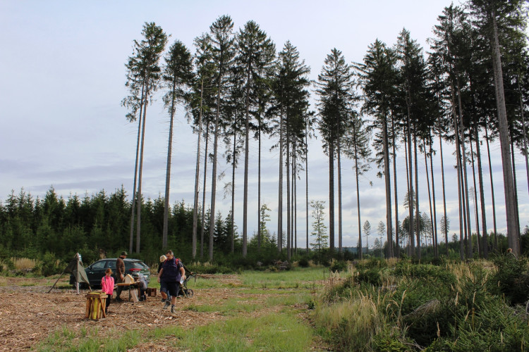Den za obnovu lesa 2023, lokalita Pouště
