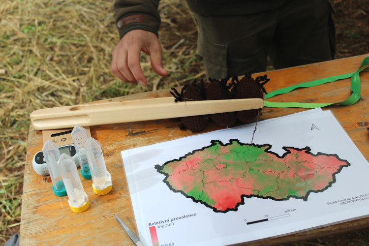 Den za obnovu lesa 2023, lokalita Pouště