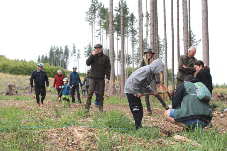 Den za obnovu lesa 2023, lokalita Pouště