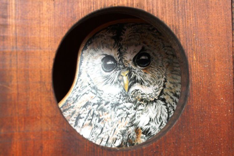 Den za obnovu lesa 2023, lokalita Pouště