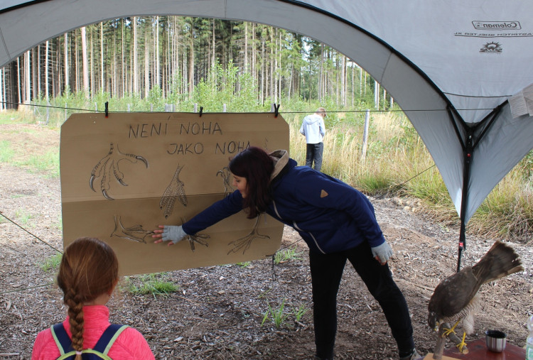 Den za obnovu lesa 2023, lokalita Pouště