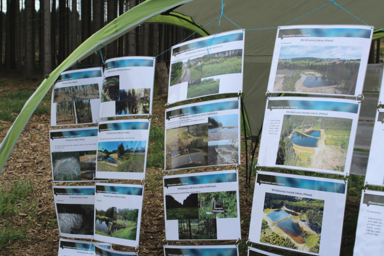 Den za obnovu lesa 2023, lokalita Pouště