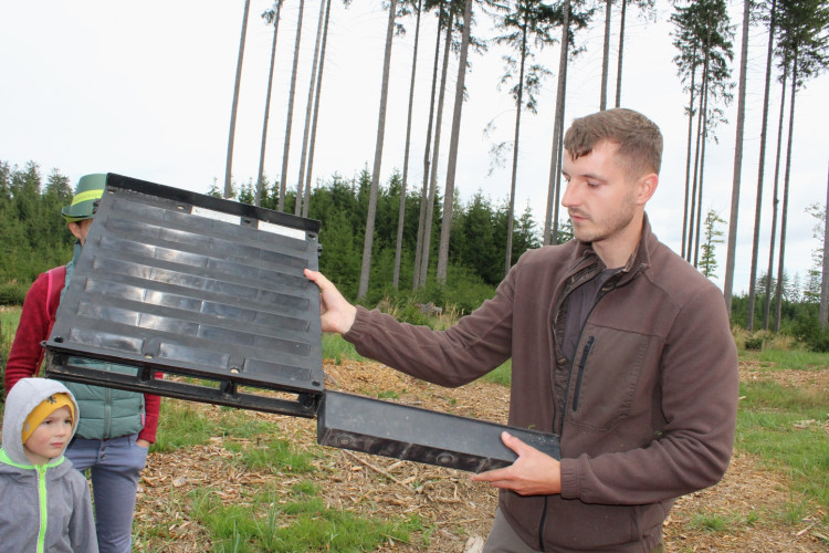 Den za obnovu lesa 2023, lokalita Pouště