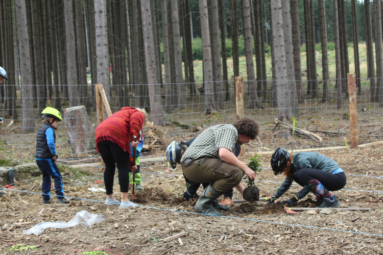 Den za obnovu lesa 2023, lokalita Pouště