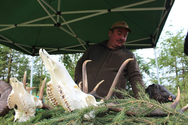 Den za obnovu lesa 2023, lokalita Pouště