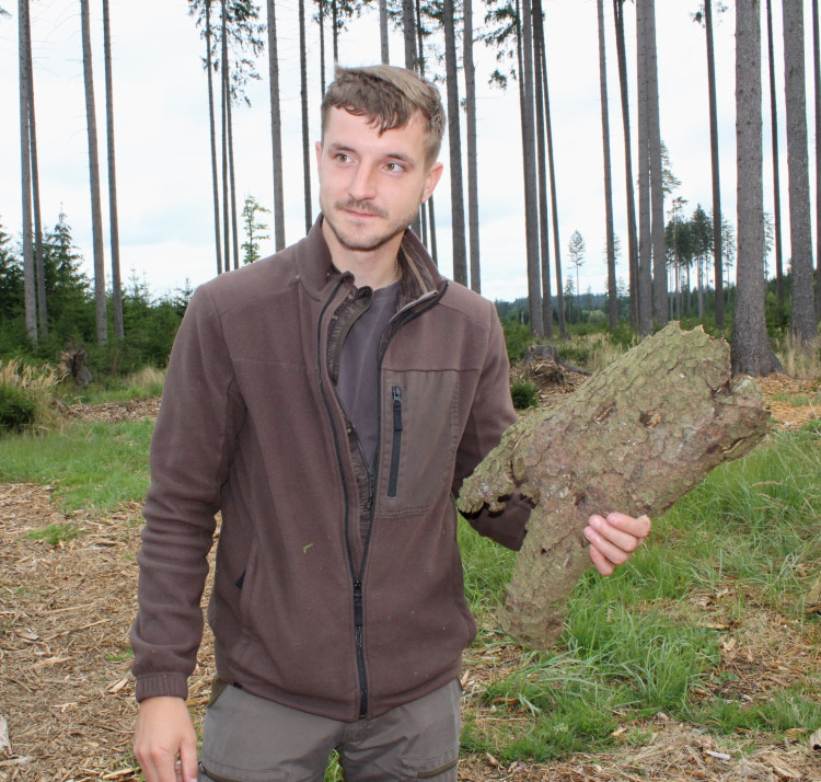 Den za obnovu lesa 2023, lokalita Pouště