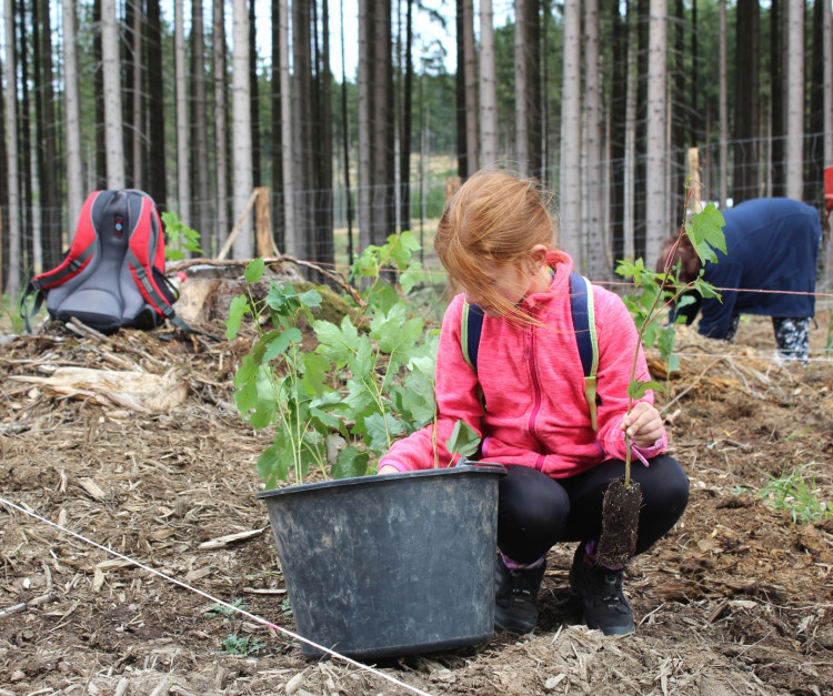 Den za obnovu lesa 2023, lokalita Pouště