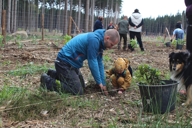 Den za obnovu lesa 2023, lokalita Pouště