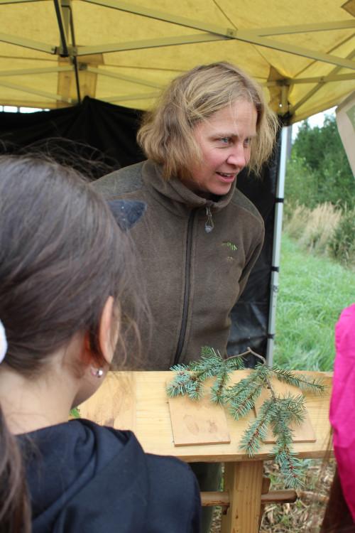 Den za obnovu lesa 2023, lokalita Pouště