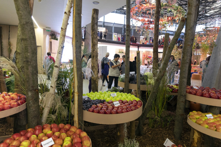 FOTOGALERIE: Podzimní Flora 2023 nese podtitul Společné kořeny