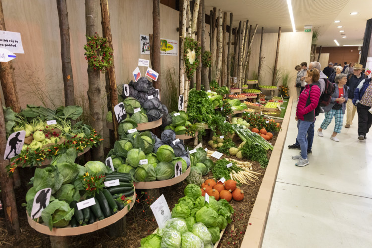FOTOGALERIE: Podzimní Flora 2023 nese podtitul Společné kořeny