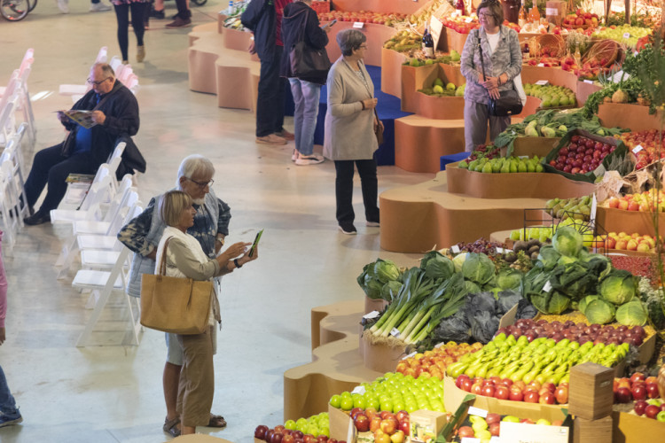 FOTOGALERIE: Podzimní Flora 2023 nese podtitul Společné kořeny