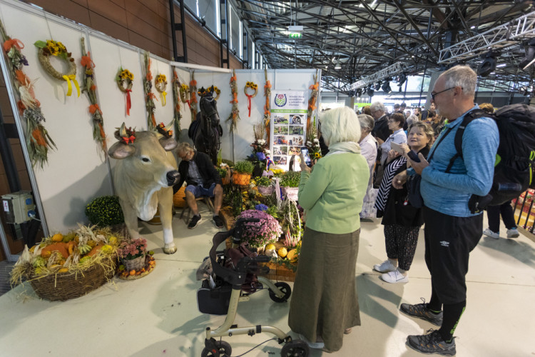 FOTOGALERIE: Podzimní Flora 2023 nese podtitul Společné kořeny