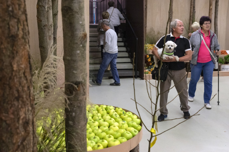 FOTOGALERIE: Podzimní Flora 2023 nese podtitul Společné kořeny