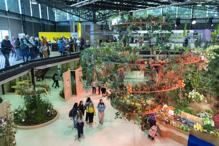 FOTOGALERIE: Podzimní Flora 2023 nese podtitul Společné kořeny