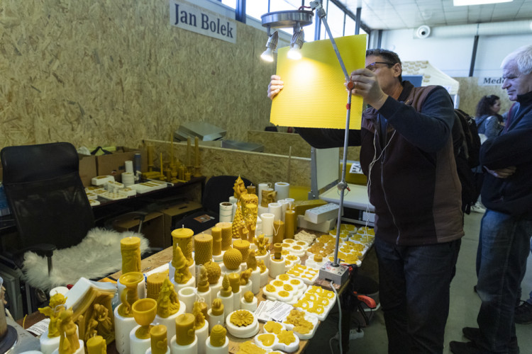 FOTOGALERIE: Podzimní Flora 2023 nese podtitul Společné kořeny