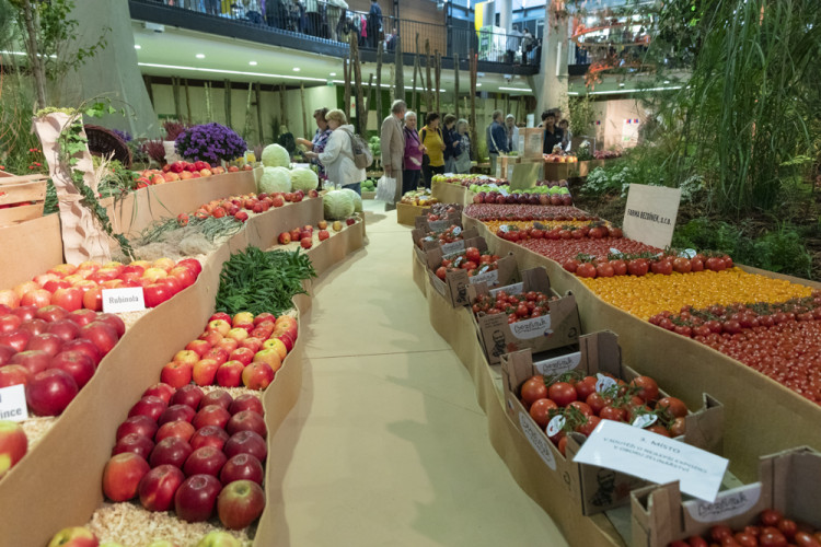 FOTOGALERIE: Podzimní Flora 2023 nese podtitul Společné kořeny