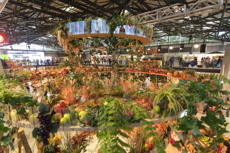 FOTOGALERIE: Podzimní Flora 2023 nese podtitul Společné kořeny