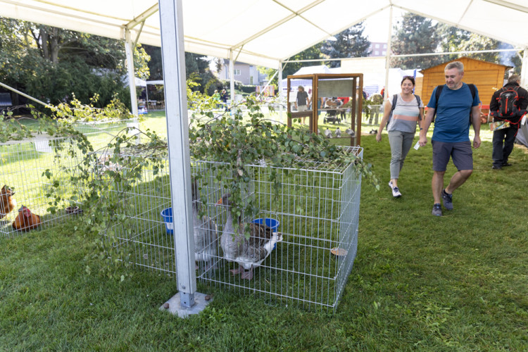 FOTOGALERIE: Podzimní Flora 2023 nese podtitul Společné kořeny