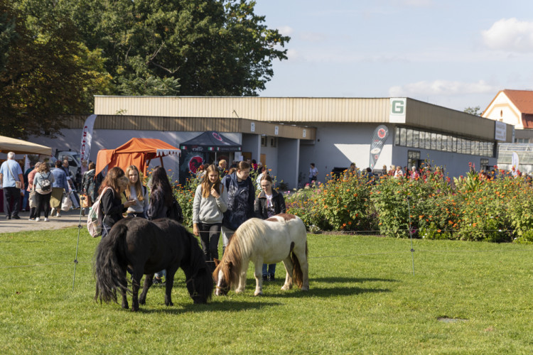 FOTOGALERIE: Podzimní Flora 2023 nese podtitul Společné kořeny