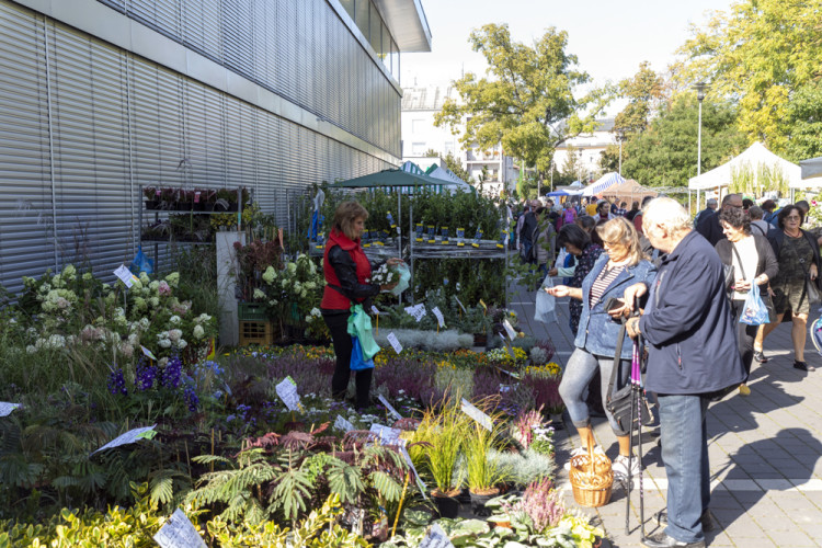 FOTOGALERIE: Podzimní Flora 2023 nese podtitul Společné kořeny