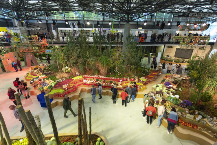 FOTOGALERIE: Podzimní Flora 2023 nese podtitul Společné kořeny