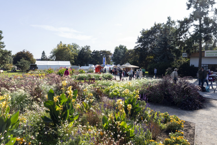 FOTOGALERIE: Podzimní Flora 2023 nese podtitul Společné kořeny
