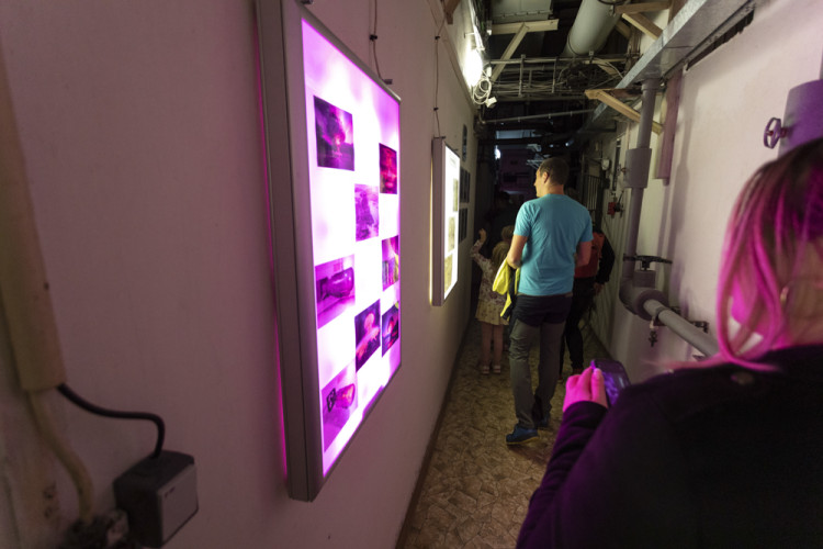 FOTOGALERIE: V minulosti přísně tajný objekt u Přáslavic se zapojil do Noci vědců