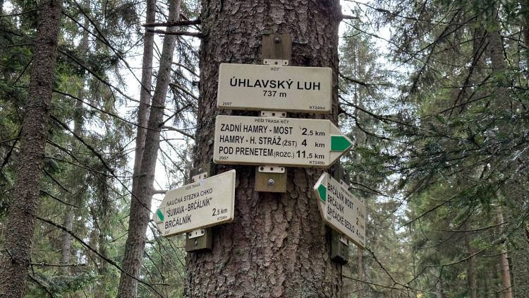 Úhlavský luh, zde odbočíte po zelené vpravo na Hamry