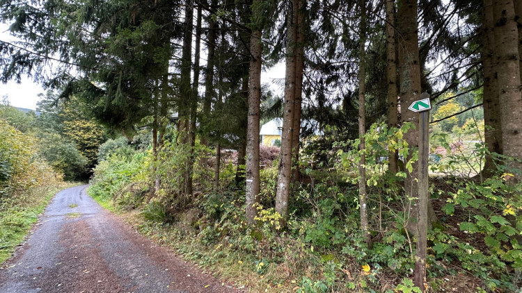 Po této cestě sejdete k bývalé skautské osadě Dakota