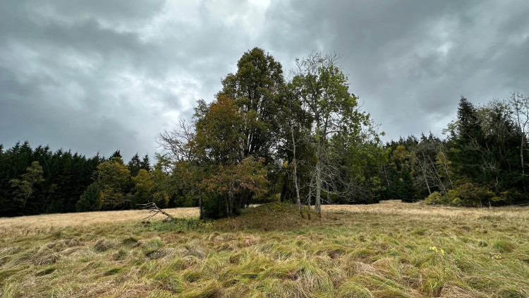 Zde byla skautská osada Dakota