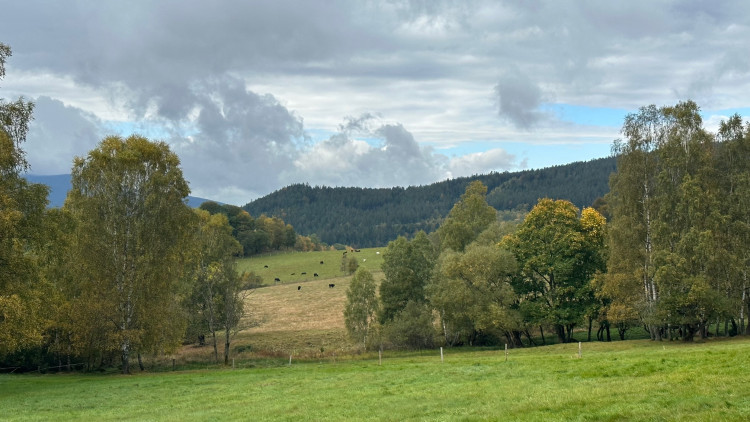 Pastviny pod Brčálníkem