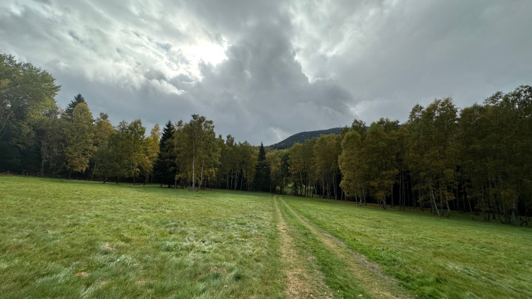 Pastviny pod Brčálníkem