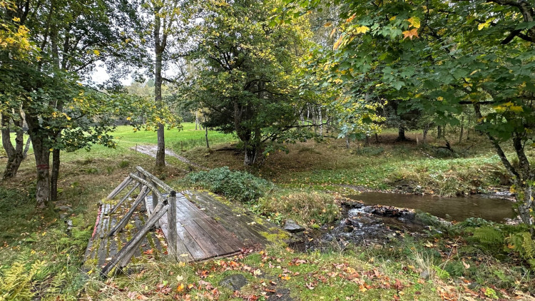 Pastviny pod Brčálníkem