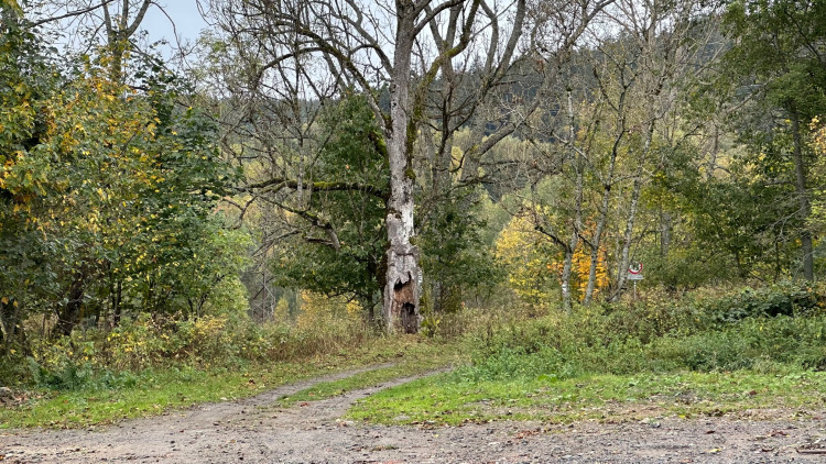 Touto cestou se vypravíte na okruh do údolí