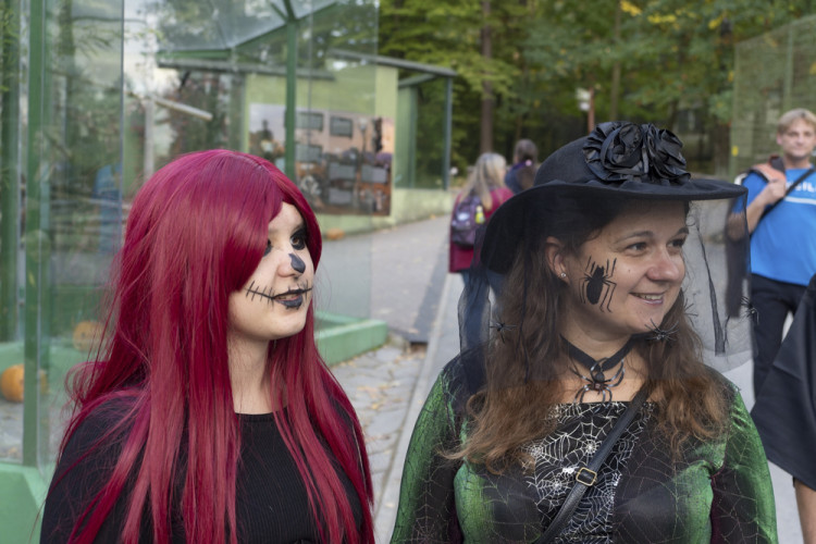 FOTOGALERIE: Večer duchů v Zoo Olomouc přitáhl davy