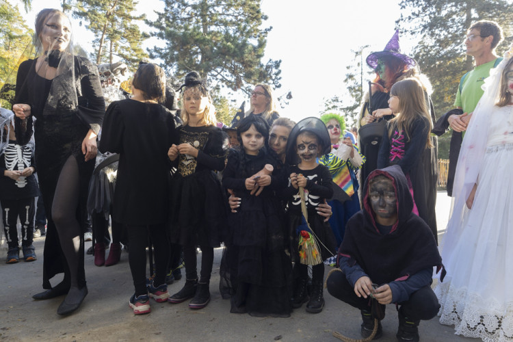 FOTOGALERIE: Večer duchů v Zoo Olomouc přitáhl davy