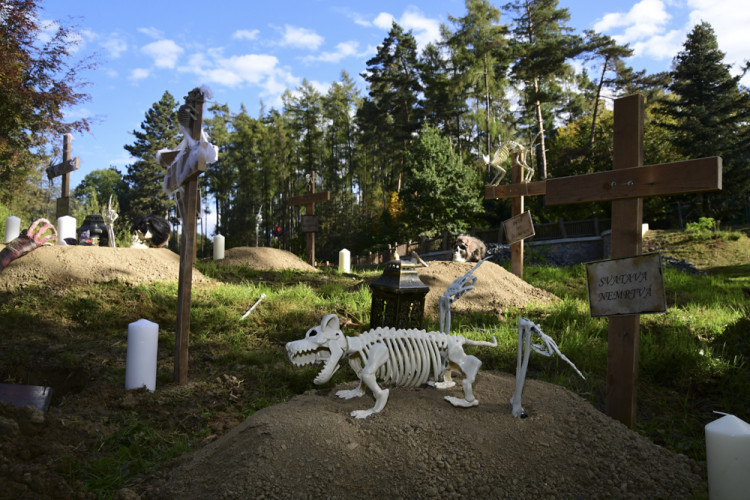 FOTOGALERIE: Večer duchů v Zoo Olomouc přitáhl davy