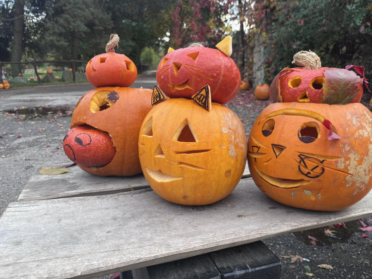 GALERIE: Týden duchů v Safari Parku (2023)